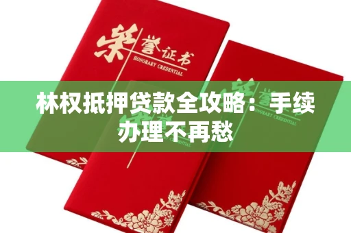 昆明林权抵押贷款全攻略:手续办理不再愁