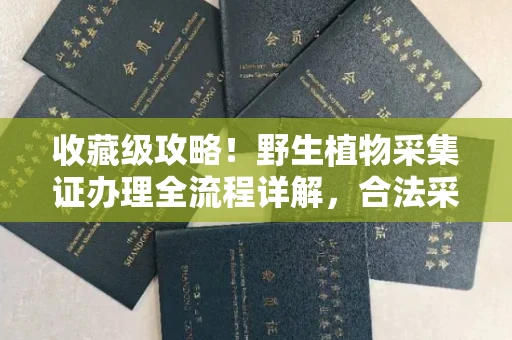 昆明收藏级攻略!野生植物采集证办理全流程详解,合法采集不踩坑
