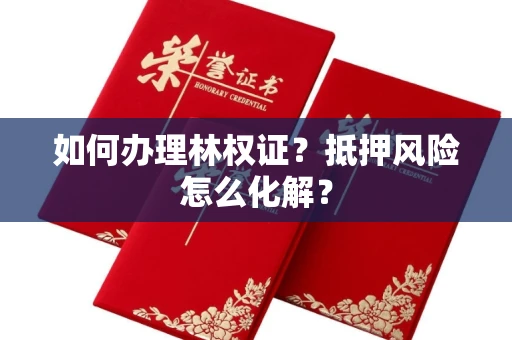 昆明如何办理林权证?抵押风险怎么化解?