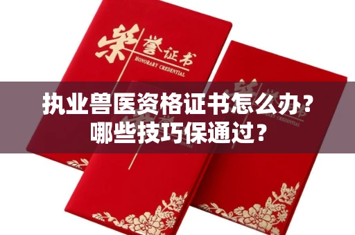 昆明执业兽医资格证书怎么办?哪些技巧保通过?