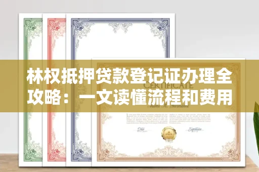 昆明林权抵押贷款登记证办理全攻略:一文读懂流程和费用