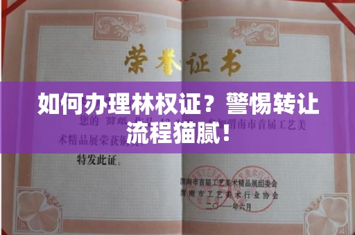 昆明如何办理林权证?警惕转让流程猫腻!