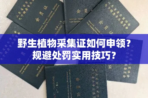 昆明野生植物采集证如何申领？规避处罚实用技巧？