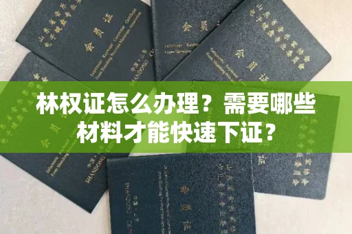 昆明林权证怎么办理?需要哪些材料才能快速下证?