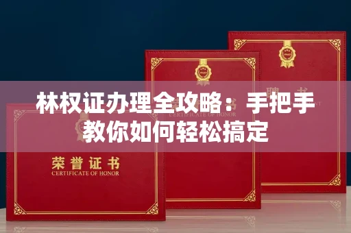 昆明林权证办理全攻略：手把手教你如何轻松搞定
