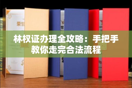 昆明林权证办理全攻略:手把手教你走完合法流程