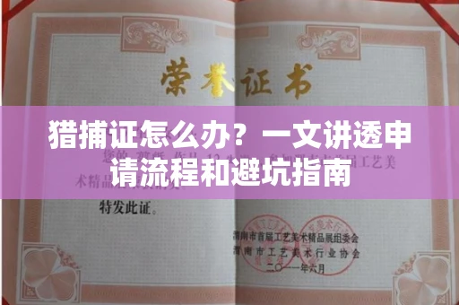 昆明猎捕证怎么办?一文讲透申请流程和避坑指南