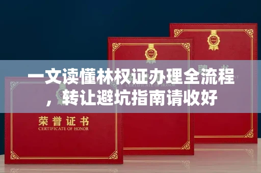 昆明一文读懂林权证办理全流程,转让避坑指南请收好