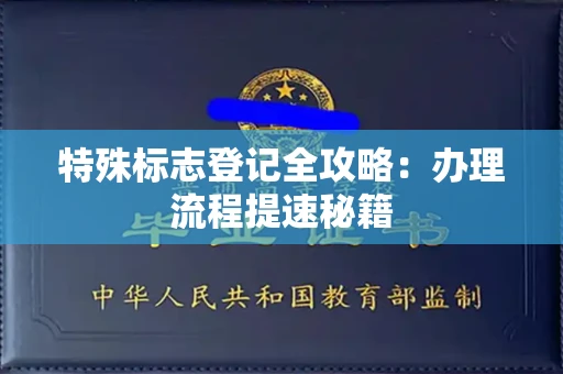 昆明特殊标志登记全攻略：办理流程提速秘籍
