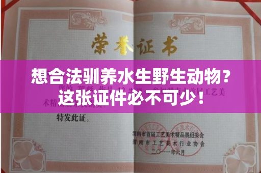 昆明想合法驯养水生野生动物?这张证件必不可少!