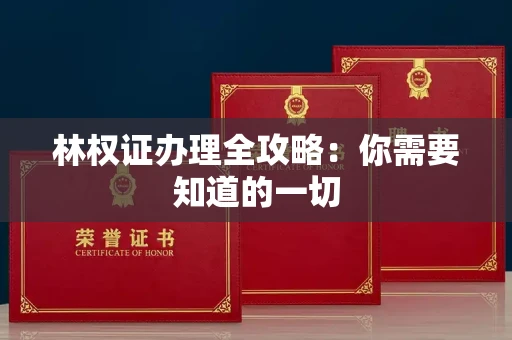 昆明林权证办理全攻略：你需要知道的一切