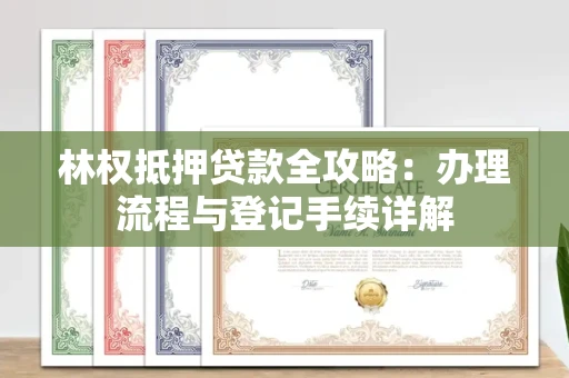 昆明林权抵押贷款全攻略：办理流程与登记手续详解