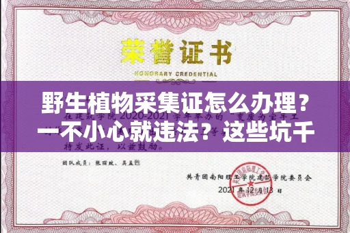 昆明野生植物采集证怎么办理？一不小心就违法？这些坑千万别踩！
