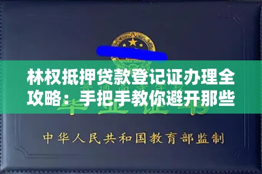昆明林权抵押贷款登记证办理全攻略:手把手教你避开那些坑