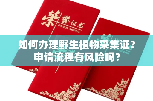 昆明如何办理野生植物采集证？申请流程有风险吗？