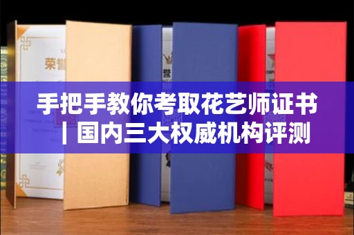 昆明手把手教你考取花艺师证书|国内三大权威机构评测