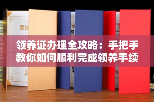 昆明领养证办理全攻略:手把手教你如何顺利完成领养手续