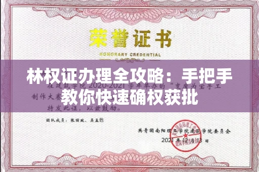 昆明林权证办理全攻略:手把手教你快速确权获批