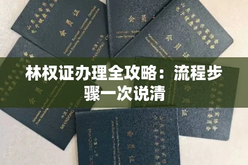昆明林权证办理全攻略:流程步骤一次说清