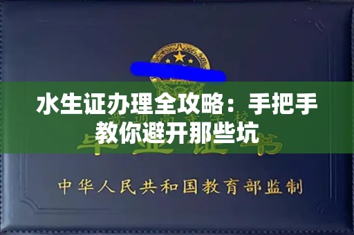 昆明水生证办理全攻略:手把手教你避开那些坑