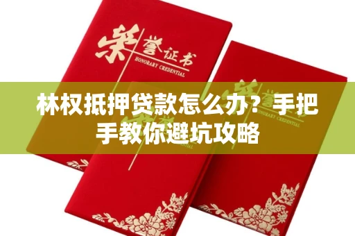 昆明林权抵押贷款怎么办?手把手教你避坑攻略