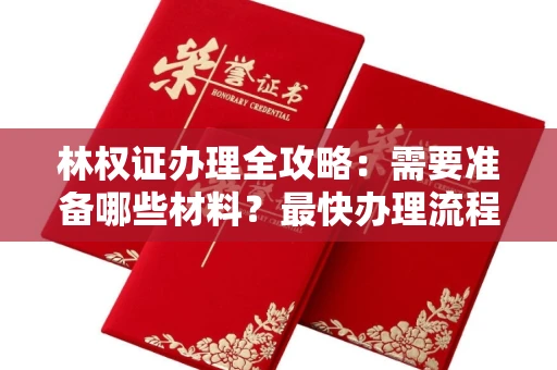 昆明林权证办理全攻略:需要准备哪些材料?最快办理流程解析