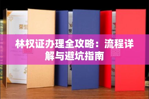 昆明林权证办理全攻略:流程详解与避坑指南