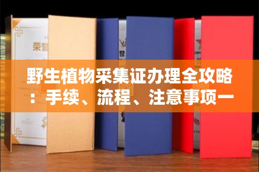 昆明野生植物采集证办理全攻略:手续、流程、注意事项一网打尽